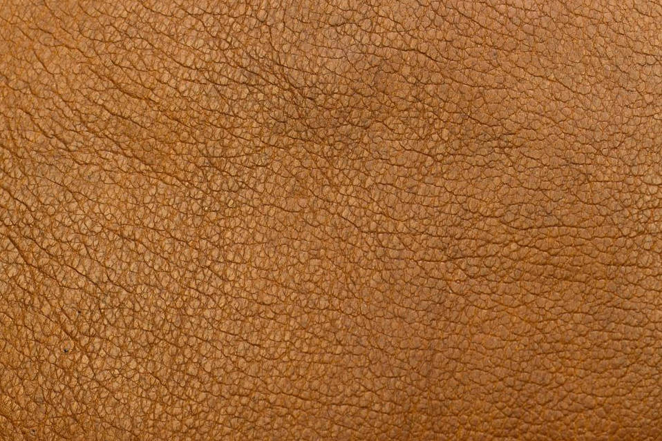 Full Grain Leather